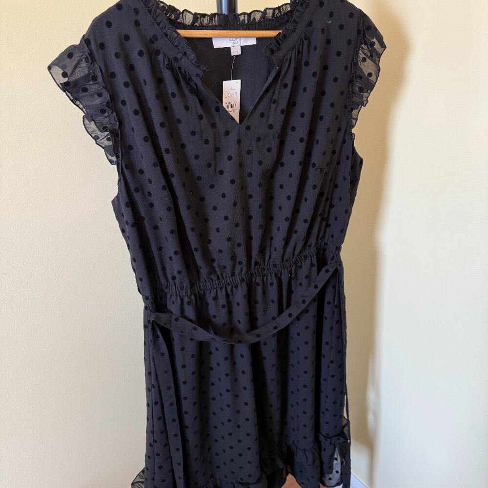 NWT: Loft Black Polka Dot Ruffle Dress, Size 16 Plus